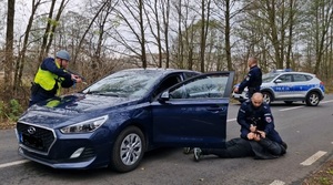 policjant dokonuje kajdankowania pozoranta leżącego na jezdni obok samochodu. Drugi z policjantów stoi przy samochodzie mierząc broń w kierunku siedzenia pasażera pojazdu