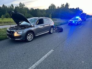 samochód osobowy Skoda biorący udział w zdarzeniu drogowym z łosiem