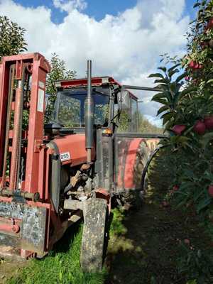 ciągnik rolniczy wraz z przyczepą z jabłkami w skrzyniopaletach na terenie sadu