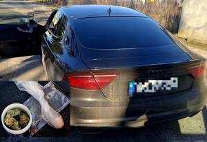 samochód audi i narkotyki