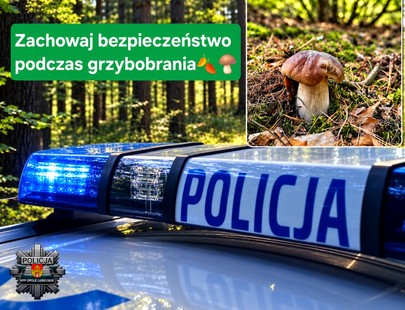 radiowóz na tle lasu i grzyb