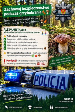 plakat